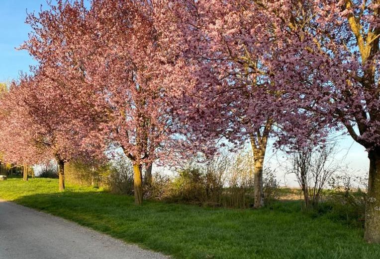 Gite A La Ferme - Confort & Nature Senouillac ภายนอก รูปภาพ